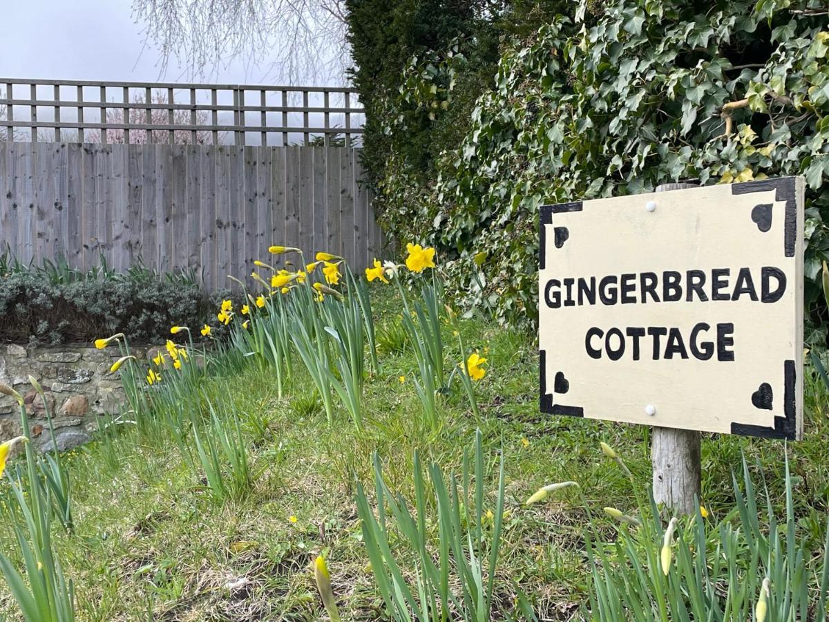 Gingerbread Cottage Chideock Kültér fotó